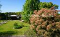 Der traumhafte Garten